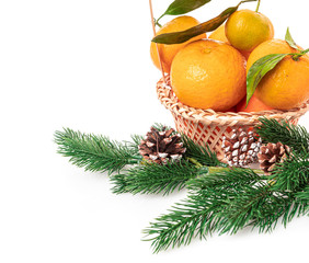 Christmas Tangerines. tangerines on a white background