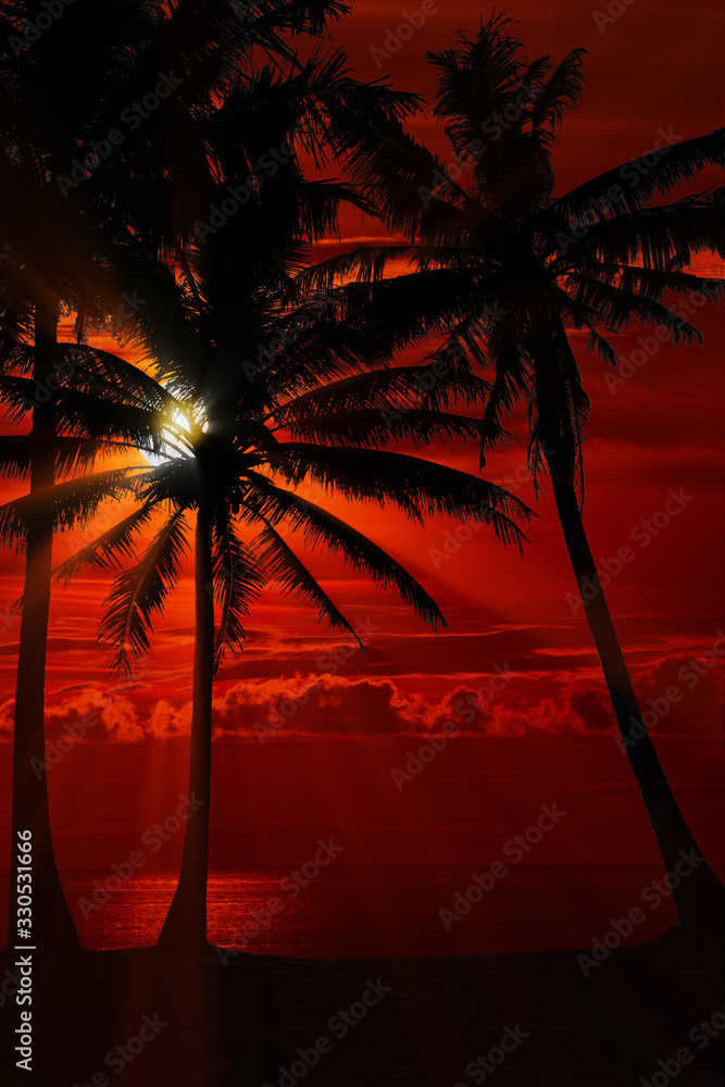 Wall mural palm trees and beautiful sky landscape. travel, tourism, vacation concept background.