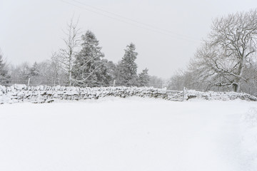 Obraz premium Snow covered Northumberland rural road