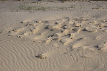 footprints in the sand