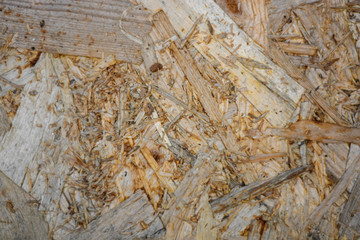 Wood texture background with sawdust