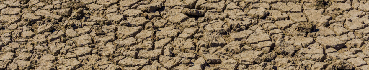 Dry cracked scorched earth, cracked land in fields, Cracked dry land during a drought, long time without rain, Long format, panorama for website headline