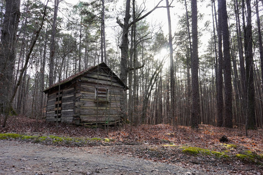 The sun peeks through the trees of the woods with an old log cabin in winter