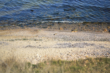 Clear sea water and the beach