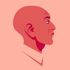 The head of a bald man in profile. Oriental businessman face side view. Avatar for social networks. Vector flat illustration