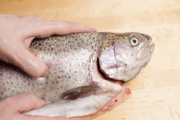 Cutting gutted red fish trout sweetfish on wood background