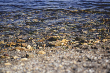 The Black Sea with clear water, in which stones, shells and sand are visible