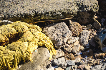 Stones, shells and rope on the beach