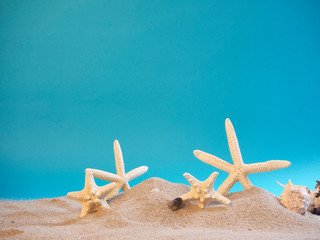 Fototapeta na wymiar Shells on beach, blue background.