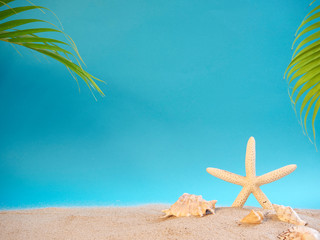 Fototapeta na wymiar Shell and starfish on beach.