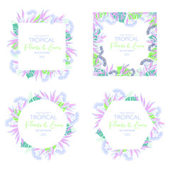 Vector Design Vector frame template with tropical green leaves and flowers on white background. Card with place for text. Spring or summer  Trendy design