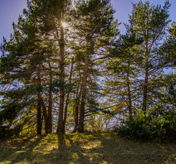 Obraz premium Breil sur Roya-Mercantour-Sentier du Mont Mangiabo