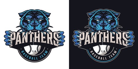 Vintage baseball sports club logotype