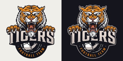 Vintage football club colorful emblem