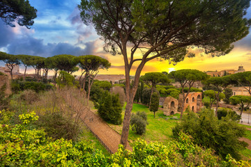 The Colosseum in Rome at sunrise, Italy