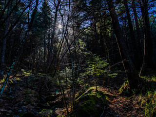 Breil sur Roya-Mercantour-Sentier du Mont Mangiabo