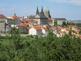 Obraz premium praga