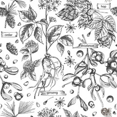 Fototapeta premium Seamless pattern with vintage hand drawn sketch medicine herbs elements isolated on white background. Cedar, mistletoe, hop, physalis, ashwagandha, ginseng. Vector illustration art.