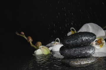 Stones and orchid flowers in water on black background. Zen lifestyle