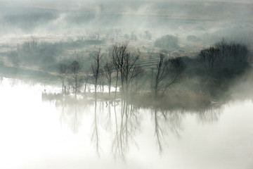Fototapeta premium mystical foggy morning with forest and lake