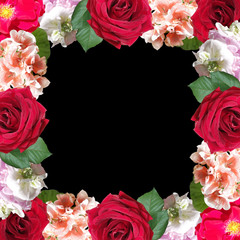 Beautiful floral pattern of pelargonium and rose. Isolated
