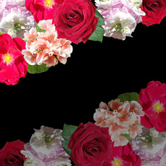 Beautiful floral background of pelargonium and rose. Isolated
