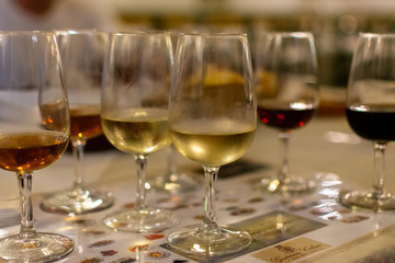 September 6, 2019, El Puerto de Santa Maria, Andalusia, Spain, sherry jerez wine tasting on bodega