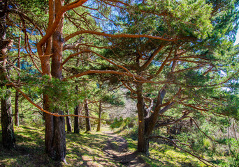 Breil sur Roya-Mercantour-Sentier du Mont Mangiabo