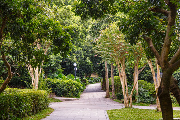 Tropical Park Alley