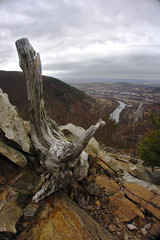dead tree and rocks above river