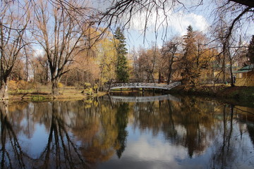 Fototapeta na wymiar the bridge is reflected in the Bolshoe Boldino river Russia