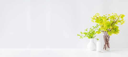 Home interior with decor elements. Branches with green leaves in a vases on a light background