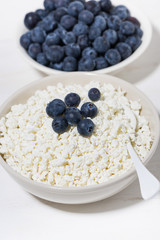 fresh farm products, cottage cheese and blueberries on a white background, vertical closeup
