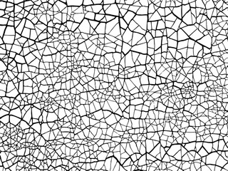 Obraz premium The cracks texture white and black. Vector background.Cracked earth. Structure of cracking. Cracks in dry surface soil texture. shards