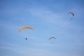 Paragliders flying
