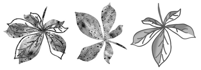Chestnut leaves. Watercolor Illustration.