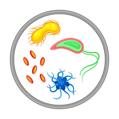 Bacterial Microorganism and Disease-causing Objects in Circle Vector Illustration