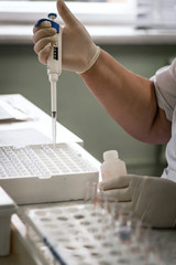 Laboratory tests for the presence of coronavirus COVID-19. Blood test in the hospital.