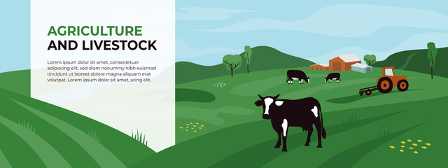 Template with copy space for agriculture, livestock or dairy company. Agricultural landscape with tractor and cows. Vector illustration of farm land, cattle, panoramic scene. Design for banner, flyer.