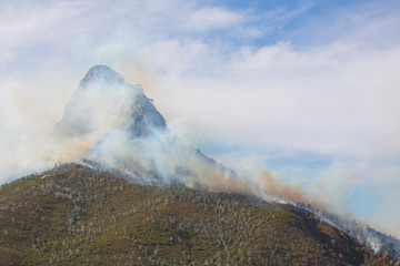 Dramatic wildfire with gale force winds on Lion's Head Mountain, Cape Town.