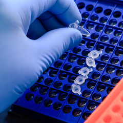 Loading a DNA tube into a PCR (polymerase chain reaction) thermocycler machine in a bioscience laboratory. Concept of science, laboratory and study of diseases.