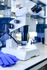 Stereomicroscope pharmaceutical bioscience research in laboratory. Concept of science, laboratory...