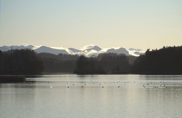 Am Seehamer See
