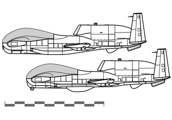 Northrop Grumman RQ-4B Global Hawk, MQ-4C Triton. Vector drawing of strategic reconnaissance drone. Side view. Image for illustration and infographics.