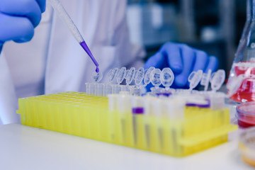 Scientist working with a pipette and a flask, in plastic tubes for DNA studies. Concept of science,...