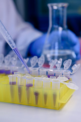 Scientist working with a pipette and a flask, in plastic tubes for DNA studies. Concept of science,...