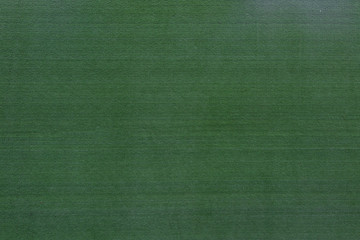 Green Wall Pattern Nature Background.