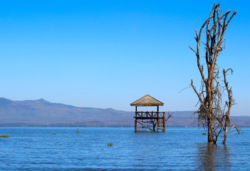 A wildlife lookout post and a bare tree are partially submerged by the flooded Lake Naivasha, Kenya