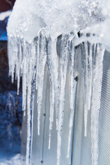 The icicles are melting. Spring thaw. Warm winter . Icicles close up. Close up of a large wavy icicle with more melting icicles beside it and a soft winter background.