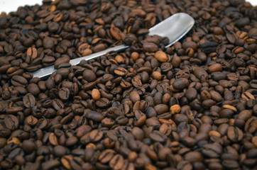 Coffee beans. Arabica Robusta. Black coffee.